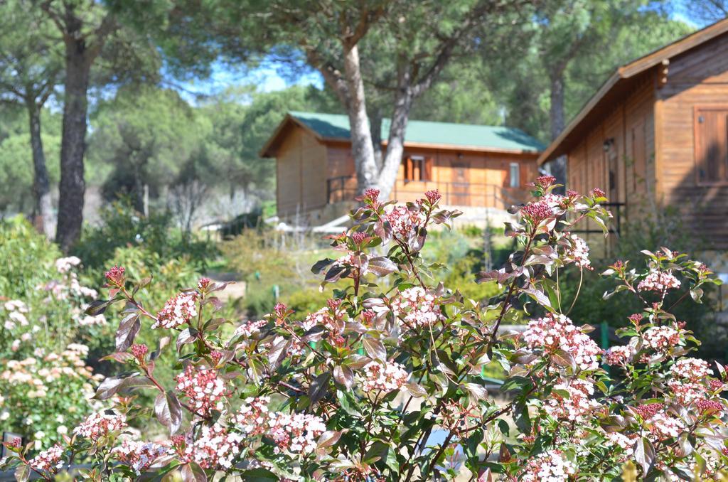 Apartamentos Paraje San Gines Андухар Екстер'єр фото