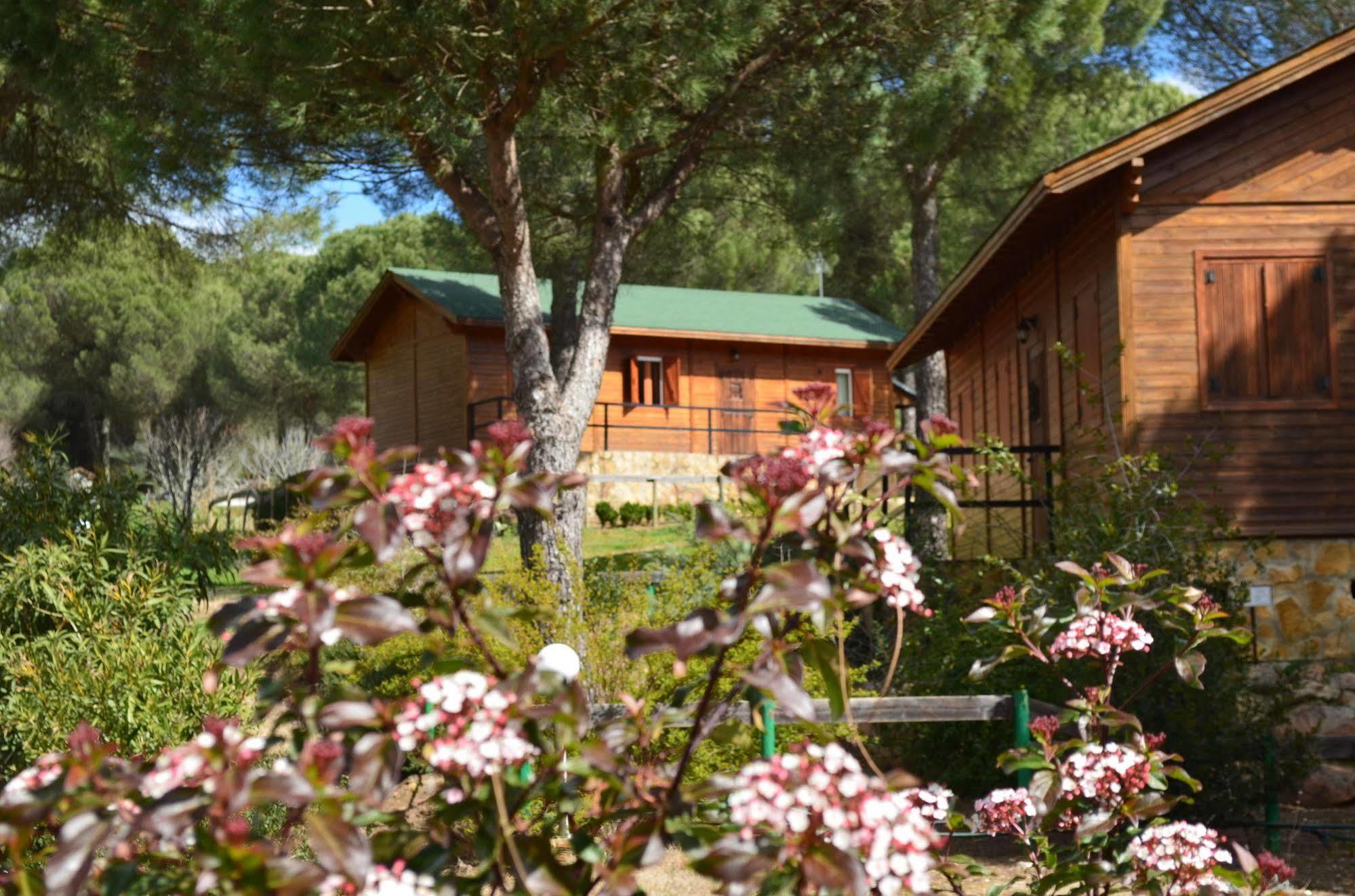 Apartamentos Paraje San Gines Андухар Екстер'єр фото